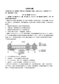 2024安徽省A10联盟高三下学期4月二模试题生物含解析