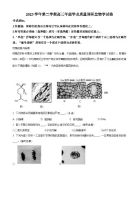2024上海青浦区高三下学期二模试题生物含解析