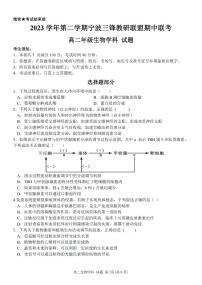 浙江省宁波市三锋教研联盟2023-2024学年高二下学期4月期中联考生物试题（PDF版附答案）