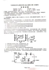 江西省五市九校协作体2024届高三下学期第二次联考生物试卷（Word版附解析）