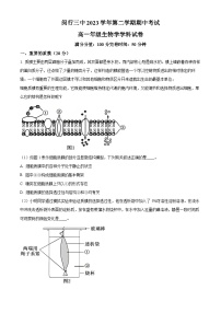 上海市闵行区第三中学2023-2024学年高一下学期4月期中生物试题（原卷版+解析版）