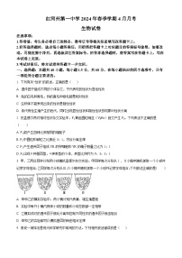 云南省红河哈尼族彝族自治州蒙自市第一中学2023-2024学年高一下学期4月月考生物试题（原卷版+解析版）