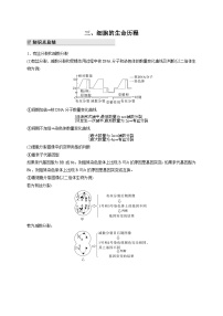 新教材2024届高考生物二轮复习知识回顾三细胞的生命历程学案