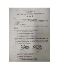 2024届安徽省蚌埠市高三下学期第四次教学质量检测考试（滁州二模）生物试卷