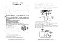 生物-湖北省宜荆荆随恩2023-2024学年高一下学期3月联考试题及答案