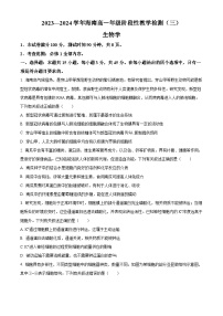 2024海南省高一下学期4月阶段性教学检测（三）生物含解析