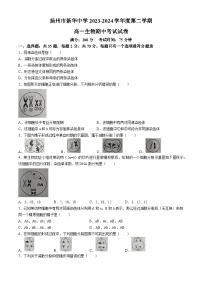 江苏省扬州市广陵区新华中学2023-2024学年高一下学期4月期中生物试题(无答案)