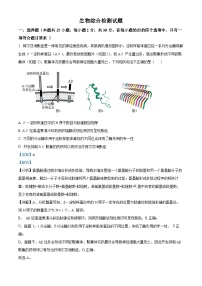 精品解析：山东省济南市历城二中2022-2023学年高一下学期第一次月考生物试题（解析版）