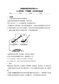 安徽省合肥市部分学校2023-2024学年高一下学期第一次月考生物试卷(含答案)