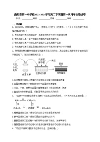 南阳市第一中学校2023-2024学年高二下学期第一次月考生物试卷(含答案)