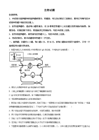 新疆维吾尔自治区乌鲁木齐市天山区第八中学2023-2024学年高三二模考试生物试题　（原卷版+解析版）