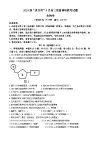 广西贵百河联考2024届高三下学期4月新高考二模试题 生物 Word版含解析