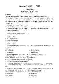 河南省南阳市2023-2024学年高一下学期期中考试生物试卷（原卷版+解析版）