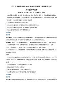 湖北省武汉市常青联合体2023-2024学年高二下学期期中考试生物试题（Word版附解析）