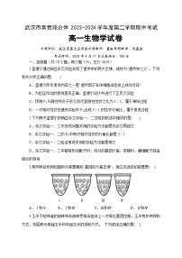 湖北省武汉市常青联合体2023-2024学年高一下学期期中考试生物试题（Word版附答案）