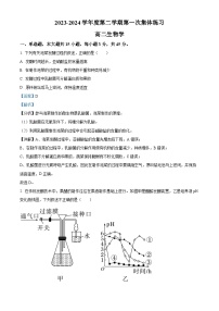 安徽省合肥市庐江县2023-2024学年高二下学期期中考试生物试卷（Word版附解析）