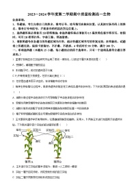 山东省枣庄市滕州市2023-2024学年高一下学期期中考试生物试卷（原卷版+解析版）