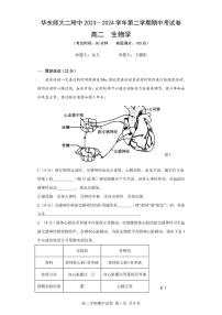 2023-2024学年上海市华东师范大学第二附属中学高二下学期4月期中生物试题含答案