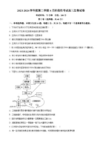 江苏省无锡市锡东高级中学2023-2024学年高三下学期4月月考生物试题（原卷版+解析版）