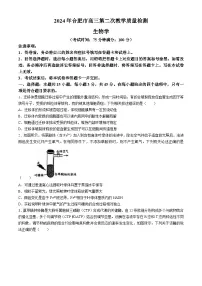 安徽省合肥市2024届高三下学期第二次质量检测生物试题