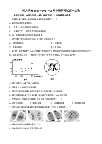 江苏省扬州市扬州中学教育集团树人学校2023-2024学年高一下学期4月期中考试生物试卷（原卷版+解析版）