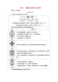 2025版高考生物一轮总复习教案必修1第四单元细胞的生命历程第一讲细胞的增殖考点二细胞有丝分裂与无丝分裂