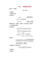 2025版高考生物一轮总复习教案必修1第四单元细胞的生命历程第三讲细胞的分化衰老和死亡考点二细胞的衰老和死亡