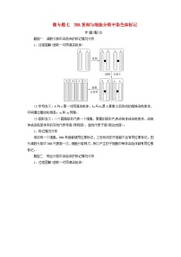 2025版高考生物一轮总复习教案必修2微专题7DNA复制与细胞分裂中染色体标记