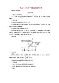 2025版高考生物一轮总复习教案必修2第六单元遗传的分子基础第二讲DNA分子的结构复制与基因的本质考点二DNA分子的复制及相关计算