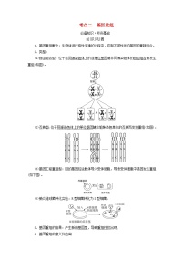 2025版高考生物一轮总复习教案必修2第七单元生物的变异育种与进化第一讲基因突变和基因重组考点二基因重组