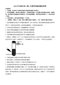 安徽省合肥市2024届高三下学期第二次质量检测生物试题（原卷版+解析版）