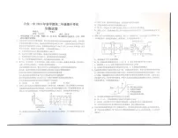 安徽省六安第一中学2023-2024学年高二下学期期中考试生物试题（PDF版附解析）