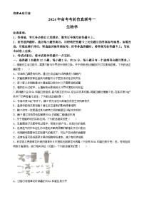 湖南名校联考联合体2024届高三下学期高考考前仿真联考生物试题（Word版附解析）