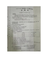 河北省邢台市2023-2024学年高一下学期期中考试生物试题