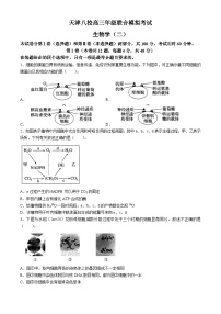 天津市八校2024届高三下学期4月二模联考生物试题（Word版附答案）