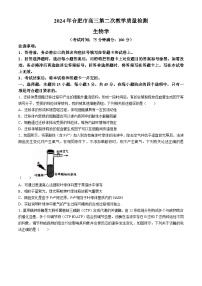 安徽省合肥市2024届高三下学期二模试题生物含答案