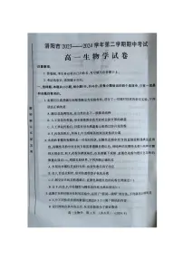 河南省洛阳市2023-2024学年高一下学期4月期中考试生物试卷（PDF版附答案）