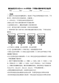 湖北省武汉市六校2023-2024学年高一下学期4月期中联考生物试卷(含答案)