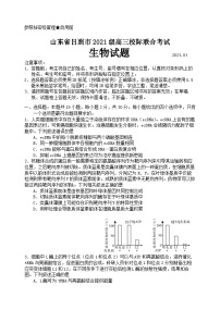 2024届山东省日照市高三校际联合考试生物试题+答案（日照二模）