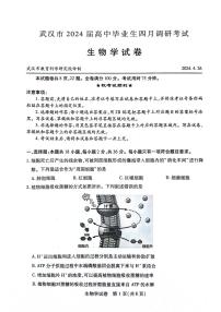 2023-2024学年度武汉市部分学校高三年级下学期四月调研考试生物试卷