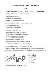 江苏省南通市海安高级中学2023—2024学年高三下学期第二次模拟考试生物试题