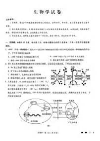 重庆市南岸区部分学校2024届高三下学期4月联合测试卷生物试题