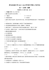 黑龙江省鹤岗市萝北县高级中学2023-2024学年高一下学期4月月考生物试卷（原卷版+解析版）