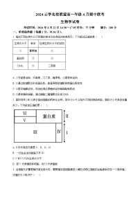 湖北省云学联盟2023-2024学年高一下学期4月期中联考生物试卷（原卷版+解析版）