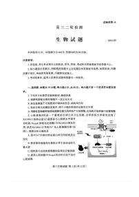 2024届山东省泰安市高三二轮检测生物试题+答案（4.26泰安二模）