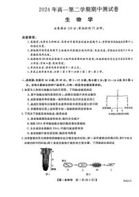 广东省茂名市高新中学2023-2024学年高一下学期期中生物测试卷