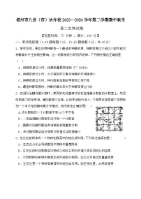 福建省福州市八县市协作校2023-2024学年高二下学期期中联考生物试题
