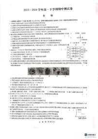 河南省南阳市南阳5校2023-2024学年高一下学期4月期中生物试题