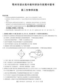 湖北省鄂州市部分高中教科研协作体2023-2024学年高二下学期期中联考生物学试卷