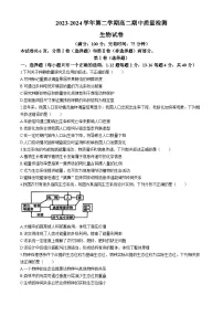 福建省福州市福清市2023-2024学年高二下学期期中考试生物试题（Word版附答案）